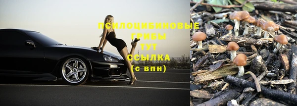 амф Алзамай