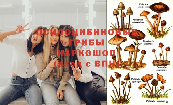 амф Алзамай