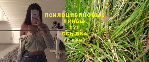 ПСИЛОЦИБИНОВЫЕ ГРИБЫ Алексеевка