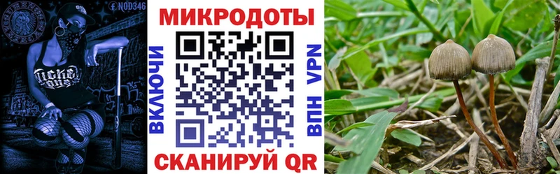Псилоцибиновые грибы Psilocybine cubensis  omg ССЫЛКА  Черепаново 